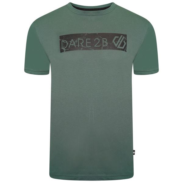 Herren-Baumwoll-T-Shirt Dare2b DISPERSED grün