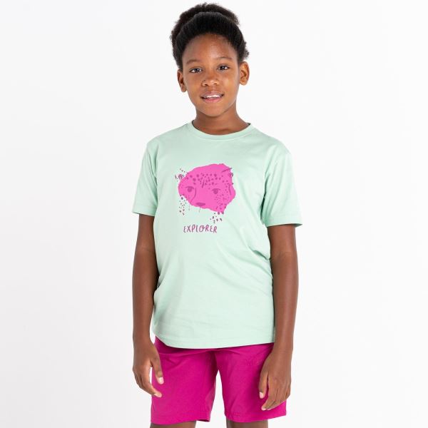 Kinder-Baumwoll-T-Shirt Dare2b TRAILBLAZER hellgrün/rosa