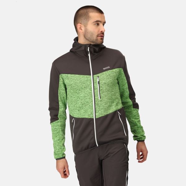 Herren-Fleece-Sweatshirt Regatta CADFORD V grün/grau