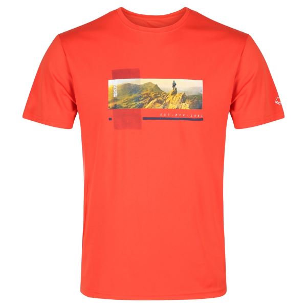 Herren T-Shirt Regatta FINGAL V orange